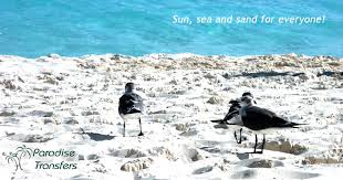 Secrets Akumal Riviera Maya - Travelzap Travel Experts