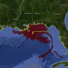 Apr 13, 2020 · deepwater horizon: Pdf The Deepwater Horizon Oil Spill Environmental Fate Of The Oil And The Toxicological Effects On Marine Organisms