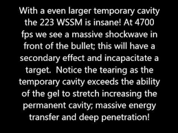 Insane Impact 4700 Fps Monolithic 223 Wssm 40g Hv 50 000 Frames Per Sec