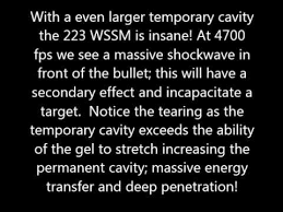 insane impact 4700 fps monolithic 223 wssm 40g hv 50 000 frames per sec