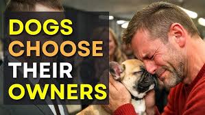 Lady Mae is one fun-loving goofball!