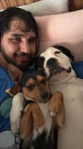 Ashley Gehrig's Instagram, Twitter & Facebook