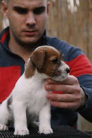 Clifford and Clint, two brothers💙