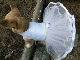 Snow White Princess Bride Wedding Dog Dress By Rufflerunway 55 00 Could Do This Pattern In Another C Dog Wedding Dress Flower Girl Dog Princess Dog Dress