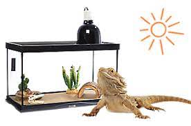 Where can you buy exotic animals? Pet Reptiles For Sale Snakes Geckos Turtles More Petsmart