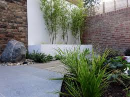 Black Bamboo Stands Out Well Against The White Rendered Wall Garden Design Garden Plant Design