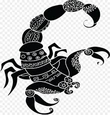 Pin By Cassy Chester On Scorpio Zodiac Symbols Astrology Signs Scorpio Zodiac