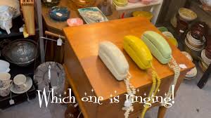 Sharon Kenneth Morvant (@adventuresinpicking) • Instagram photos and videos