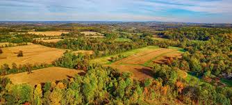 On one hand, it represents all those elements greece is known for, such as openness, airiness and natural beauty. Bryn Coed Preserve Natural Lands