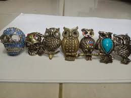 Nah, kita bisa melihat atau mengabadikan burung hantu ini juga di tetapkan menjadi burung hantu yang paling langka di negara indonesia adalah celepuk. Cincin Burung Hantu Tengkorak Utk Wanita Fesyen Wanita Aksesoris Di Carousell