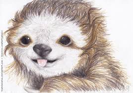 Cheeky Sloth Sloth Drawing Sloth Art Cute Animal Drawings