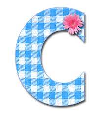 Blue Gingham C Png Png 1 200 1 321 Pixels Alphabet Scrapbook Letters Cute Alphabet