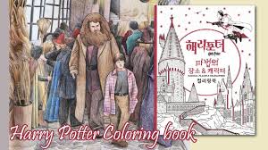 Download Harry Potter Magical Places Characters Coloring Book Flip Through Coloring Video Youtube