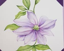 Bluebird watercolor painting (2018) watercolour by sophie rodionov. Painting Of Flowers Watercolor Painting Inspired