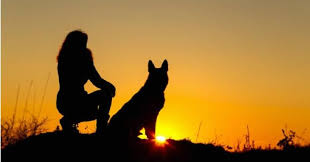 Only a selling sunset expert can score 100% on this trivia quiz. What Is A Sun Dog Trivia Questions Quizzclub