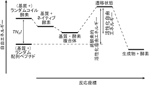 Https Photosyn Jp Journal Kaiho61 Pdf