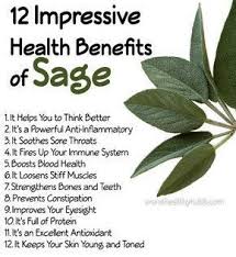 The Premium Vitamin Non Gmo All Organic Sage Benefits Health Benefits Coconut Health Benefits