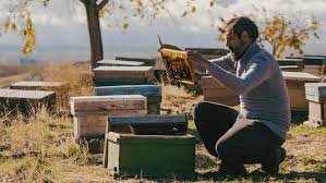 images?q=tbn:ANd9GcQOph3zVy3bO1MTWNs3nC1