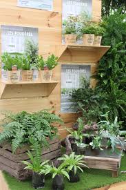 Touffues Ou Fines Et Elegantes Vertes Fonce Ou Gris Vert Argente Les Fougeres Adoptent De Nombreuses Formes Avec Des Feuilles Plante Plante Verte Botanique