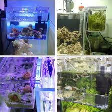 Also, guppies swim in schools. Breeder Box External Hang On Back Guppy Betta Shrimp Fry Quarantine Requires Air Pump Pet Supplies For Fish Fish Tank Accessories On Carousell