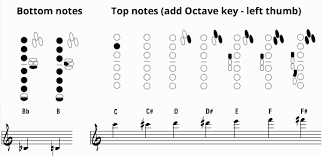 the best saxophone fingering charts