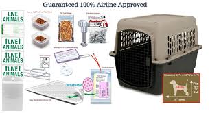 sassy all in one airline pet crate package