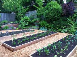 My Garden Is In Beds Have Been Built Soil Moved Wood Chips In The Walkway And Husband Wood Chips Landscaping Wood Chips Landscaping Ideas Wood Chips Garden