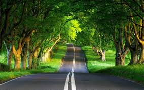 Follow the vibe and change your wallpaper every day! 16 Nature Wallpaper Hd For Pc Windows 7 Basty Wallpaper