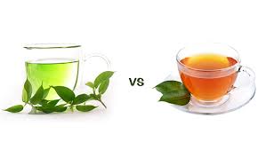 Primary Differences Between Darjeeling Green Tea Black Tea Jayshree Blog