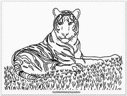 Realistic Tiger Coloring Pages Realistic Coloring Pages Animal Coloring Pages Zoo Coloring Pages