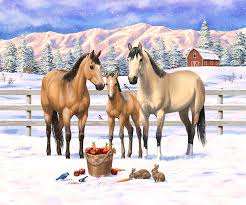 Head shot with red halter.ears erect,eyes very bright. Buckskin Quarter Horses In Snow Painting By Crista Forest