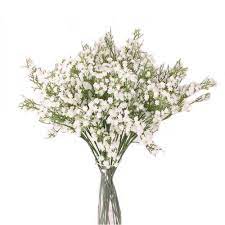 Check spelling or type a new query. 5pcs Artificial Flowers Fake Flowers Silk Plastic Artificial Gypsophila Realistic Flower Arrangements Wedding Decoration Table Centerpieces White Buy Online In Andorra At Desertcart 200379862