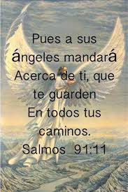 Pin En Fe