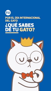 International cat day is a celebration which takes place on 8 august of every year. Guvhzi7igfzkem