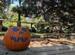 What To Do In Houston Today August 27 September 6 2021 Houston Things To Do Free Museums