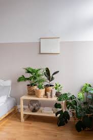 Diy Deko Idee Urban Jungle Feeling Im Schlafzimmer In 2020 Wohnzimmer Pflanzen Grune Zimmer Pflanzen Zimmer