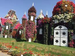 Dubai Miracle Garden Gardens Of The World Miracle Garden Dubai
