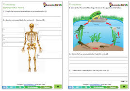 Free study guides for grade 5 learners. Grade 5 Natural Science Technology Term 1 Oxford Textbook For On Teacha