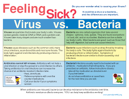 Bacteria Vs Viruses The Unit Of Microbiology In 2020 Microbiology Medical Knowledge Nursing School Survival