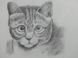 We did not find results for: How To Draw Animal Fur And Which Pencil Should I Use To Make It Realistic Quora