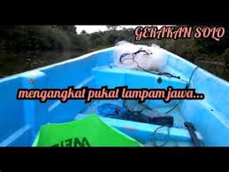 Check spelling or type a new query. Lampam Jawa Besar Ikan Lampam Jawa