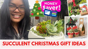 GRAPTOVERIA DEBBIE : Removing Offsets with 2-month progress update