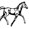 Check spelling or type a new query. Https Encrypted Tbn0 Gstatic Com Images Q Tbn And9gcruk7t0swofj13wjhk1nh9p6r4lazzeehtsdqmklzh9vpm4xrgx Usqp Cau