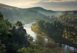 Berounka Nature Czech Republic River