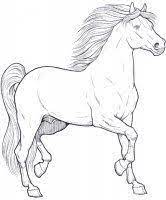 Cavalli immagini da colorare stampae colorare. Disegni Cavalli Cavallo 1 Jpg Disegni Da Colorare Pagine Da Colorare Per Adulti Disegno Di Cavallo
