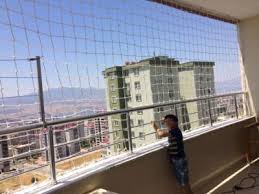 Önemli bir kuş problemiyle başa çıkmak için, yüksek sesler, parlak nesneler ve hayvan biçimli korkuluklar gibi kuşlardan nasıl kurtulunur? Balkona Kuslarin Gelmemesi Icin Ne Yapilir Tavsiyeler Kizlarsoruyor