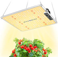 Best light for 2x2 grow tent. 100w Grow Light Maxsisun Pb 1000 Led Grow Lights For Indoor Plants Full Spectrum High Performance Plant Growing Lamps With Samsung Diodes And Sosen Driver For A 2x2 Grow Tent Veg And Flowering