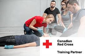 Get your cpr, first aid and aed certification online and print your card in minutes. Standard First Aid Cpr Training First Aid 4u
