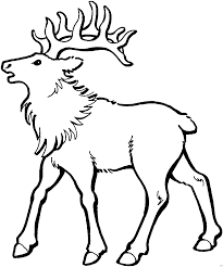 Schoener Hirsch Ausmalbild Malvorlage Tiere