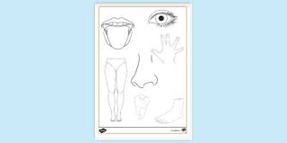 Body parts coloring pages for preschool. Body Parts Colouring Page For Toddlers Kindergarten Colouring